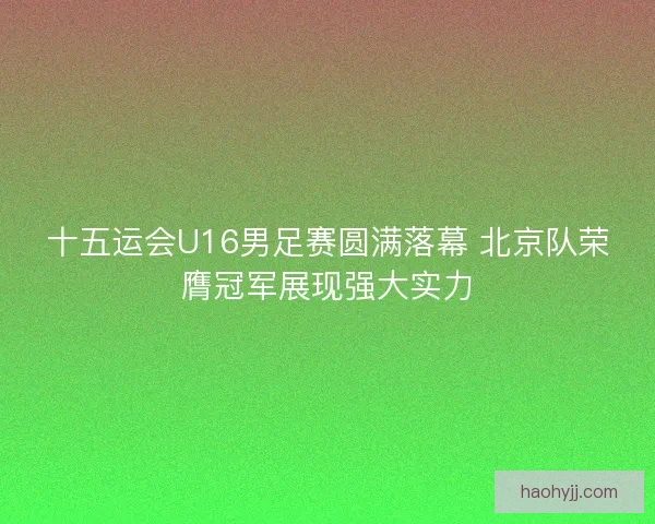十五运会U16男足赛圆满落幕 北京队荣膺冠军展现强大实力